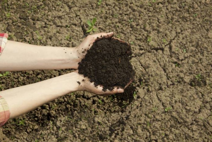 Mēslojumus pārdošanai