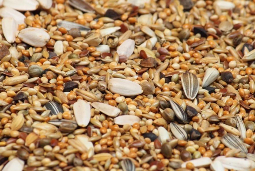 Barības piedevas dzīvniekiem